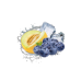 Adalya Blue Melon 50g